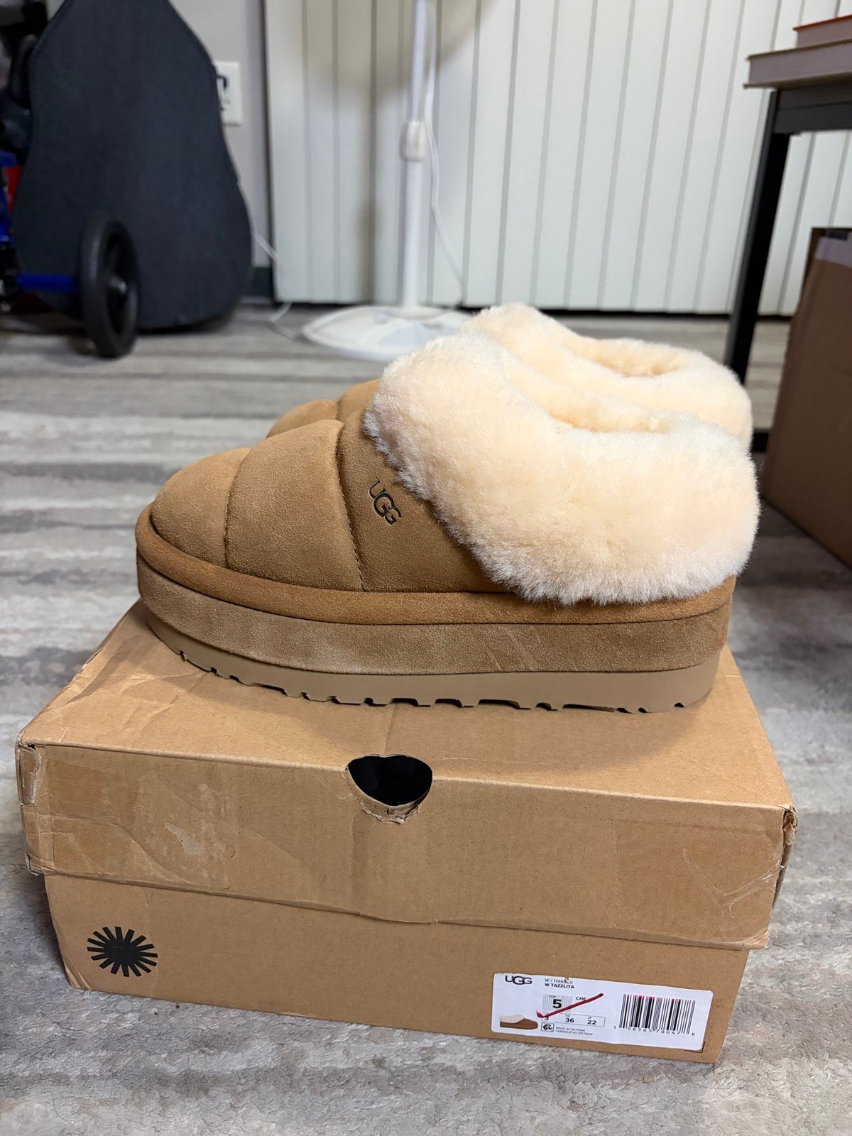 UGG Tazzlita chestnut Size US 5 w/ Box