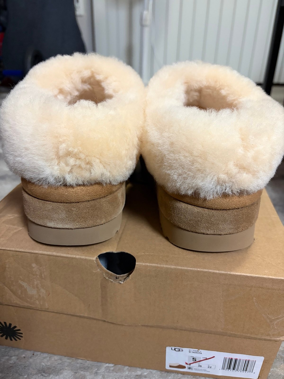 UGG Tazzlita chestnut Size US 5 w/ Box