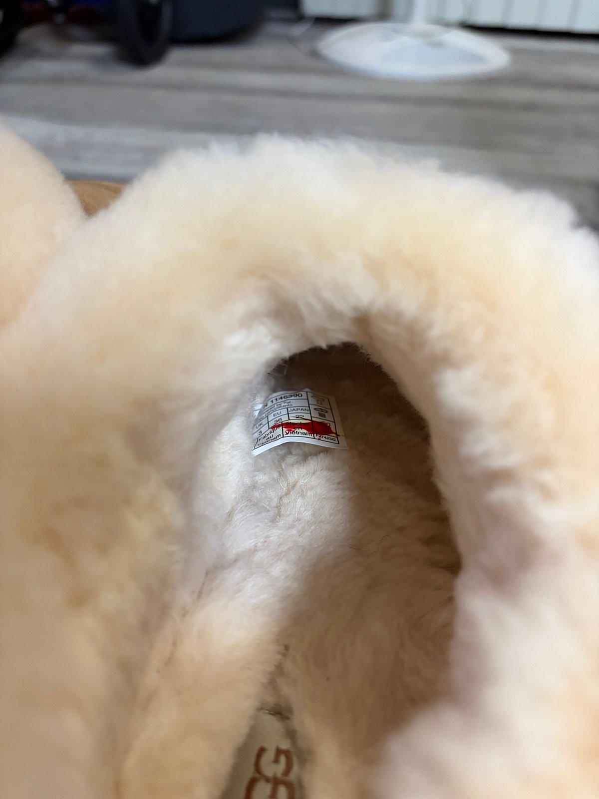 UGG Tazzlita chestnut Size US 5 w/ Box